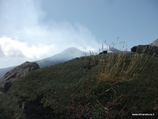 rra delle Concazze-06-08-2014 01-16-14